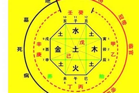 生晨八字|生辰八字算命、五行喜用神查詢（免費測算）